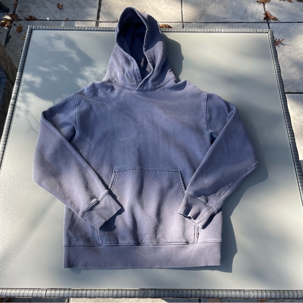 Aritzia Cozy Fleece Hoodie